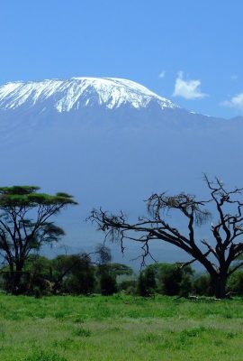 Best time to visit Tanzania